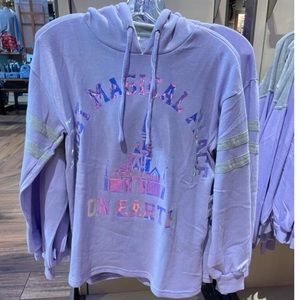 Disney park lavender Lilac light purple iridescent hoodie